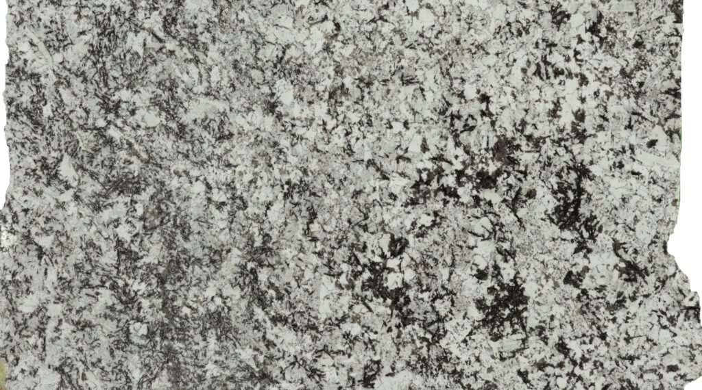 DELICATUS WHITE